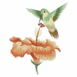 Watercolor Hummingbirds 08(Md) machine embroidery designs