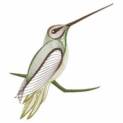 Rippled Hummingbirds 10(Lg)