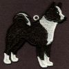 FSL Karelian Bear Dog