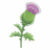 Blooming Thistle