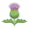 Blooming Thistle 02