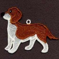 FSL Welsh Springer Spaniel