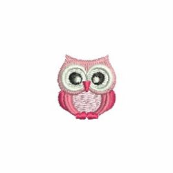 Mini Baby Owls 11