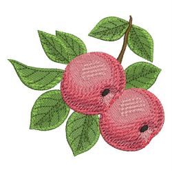 Delicious Fruits 01 machine embroidery designs
