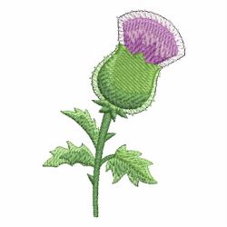 Blooming Thistle machine embroidery designs