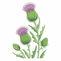 Blooming Thistle 06