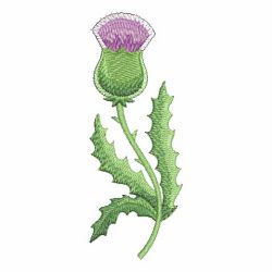 Blooming Thistle 07 machine embroidery designs