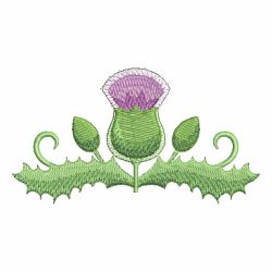 Blooming Thistle 08