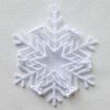 FSL Snowflake Photo Ornaments 04