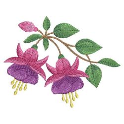 Fuchsia 2 04