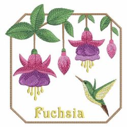 Fuchsia 2 10