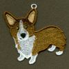 FSL Cardigan Welsh Corgi