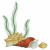 Seashells 5 03(Sm)