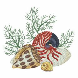 Seashells 4 02 machine embroidery designs