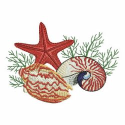 Seashells 4 04 machine embroidery designs