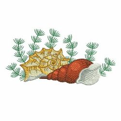 Seashells 4 06 machine embroidery designs