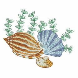 Seashells 4 07