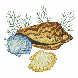 Seashells 4 08 machine embroidery designs