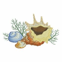 Seashells 4 10 machine embroidery designs