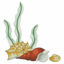 Seashells 5 03(Md) machine embroidery designs