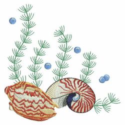 Seashells 5 08(Md) machine embroidery designs