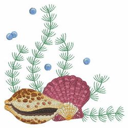 Seashells 5 11(Lg) machine embroidery designs