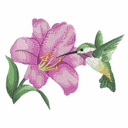 Watercolor Hummingbirds 2 01(Md) machine embroidery designs