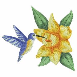 Watercolor Hummingbirds 2 04(Md) machine embroidery designs