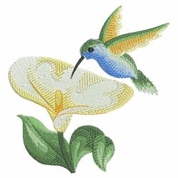 Watercolor Hummingbirds 2 05(Md) machine embroidery designs