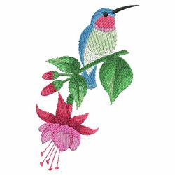 Watercolor Hummingbirds 2 10(Md) machine embroidery designs