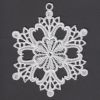 FSL Snowflakes 10 02