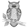 Blackwork Owls 2 01(Sm)