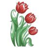 Watercolor Tulips 3 02(Md)