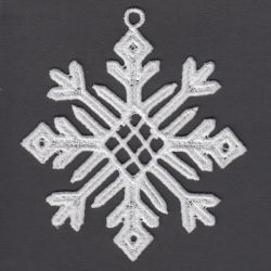 FSL Snowflakes 10 05