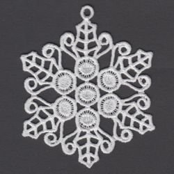 FSL Snowflakes 10 11