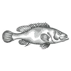 Sketched Fish 02(Lg) machine embroidery designs