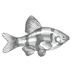 Sketched Fish 06(Lg) machine embroidery designs
