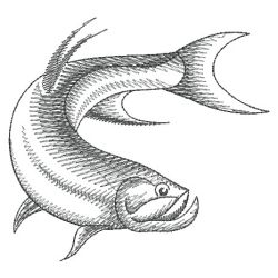 Sketched Fish 07(Lg) machine embroidery designs