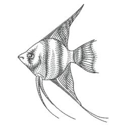 Sketched Fish 09(Sm)