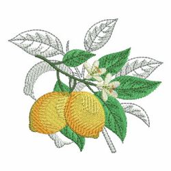 Fresh Fruits 3 02(Sm) machine embroidery designs