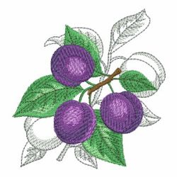 Fresh Fruits 3 10(Sm) machine embroidery designs