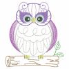 Cute Owls 3 06(Md)