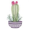 Basket Cactus 08(Sm)