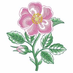 Watercorlor Flowers In Bloom 2 06(Sm) machine embroidery designs
