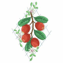 Fresh Fruits 4 09(Md) machine embroidery designs