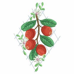 Fresh Fruits 4 09(Sm) machine embroidery designs