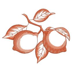 Sketched Fruits 01(Md) machine embroidery designs