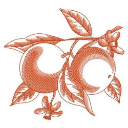 Sketched Fruits 04(Sm) machine embroidery designs