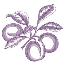 Sketched Fruits 05(Lg) machine embroidery designs