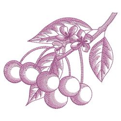 Sketched Fruits 06(Lg) machine embroidery designs